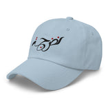 Nudge Logo Dad hat