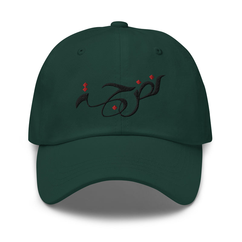 Nudge Logo Dad hat